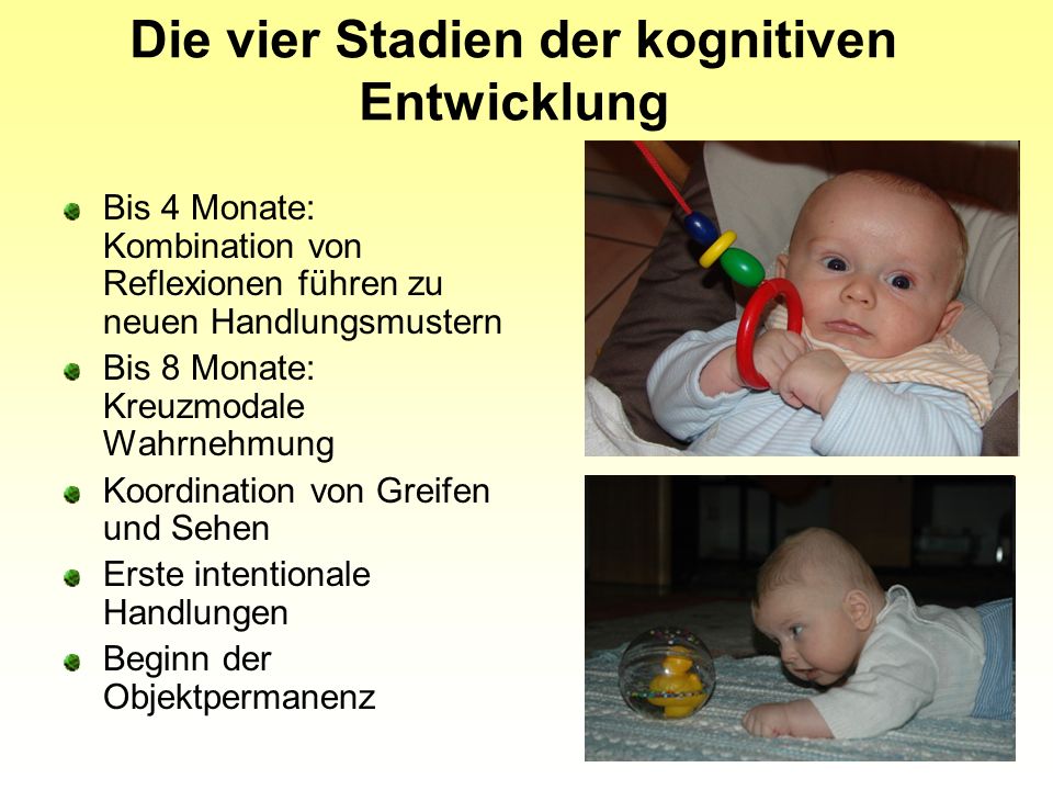 Entwicklungspsychologie und P dagogische Psychologie ppt video